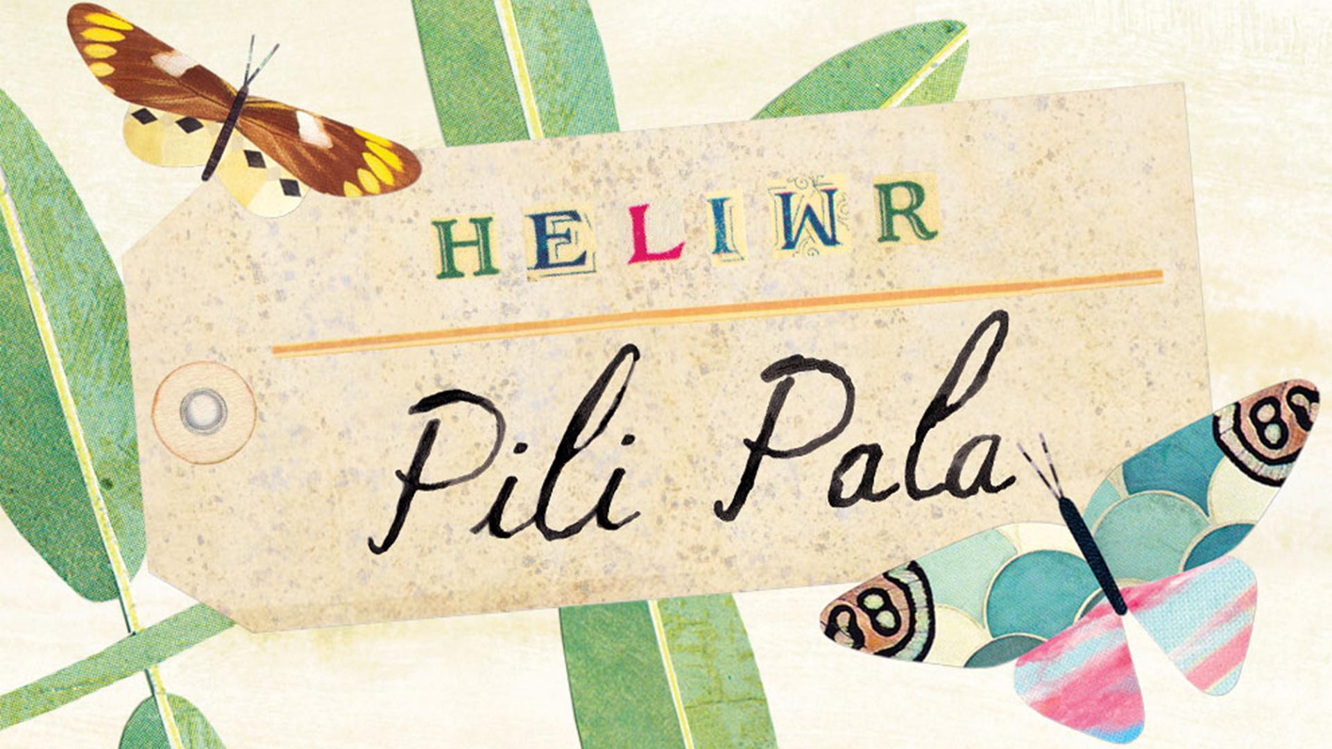 Heliwr Pili Pala on some aged paper with bugs in background