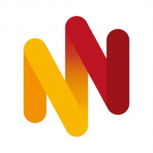 Theatr na nÓg logo a double letter N